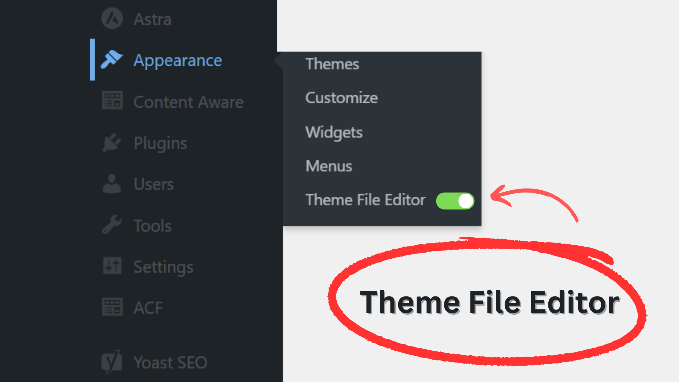 Enable the theme editor in wordpress menu tab